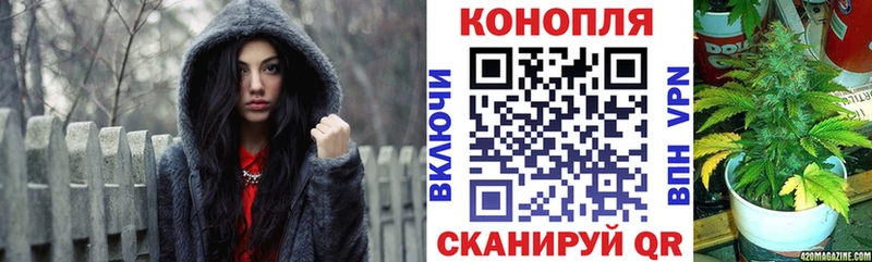 Купить закладку Луза A-PVP НБОМе Псилоцибиновые грибы Канабис МЕФ