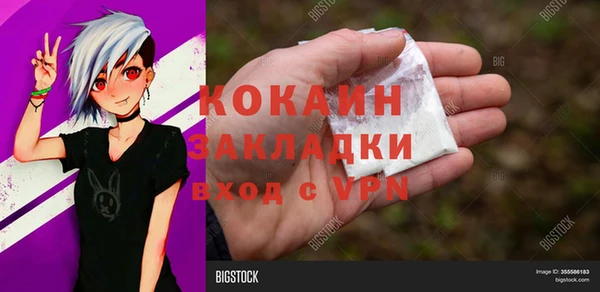 хмурый Елизово