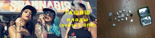 PSILOCYBIN Новозыбков
