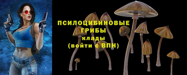apvp Новокубанск