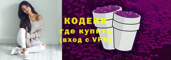 твердый Новодвинск