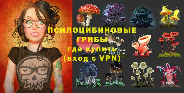 apvp Новокубанск