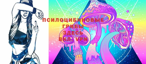 PSILOCYBIN Новозыбков