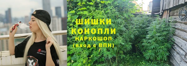 твердый Новодвинск