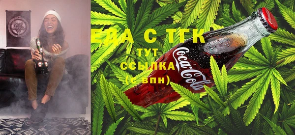 твердый Новодвинск