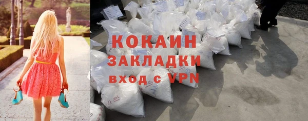 твердый Новодвинск