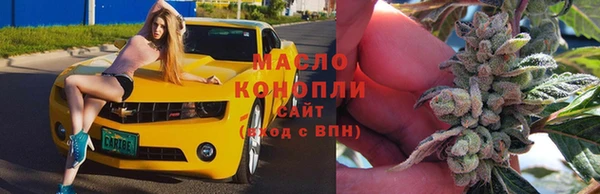 mix Бородино