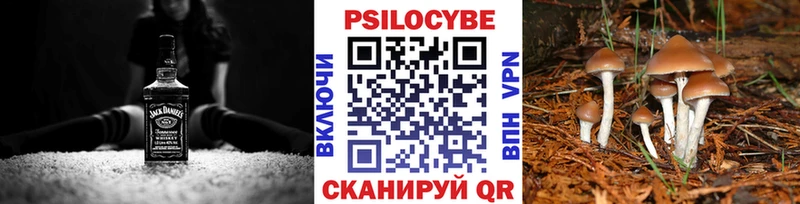 Псилоцибиновые грибы прущие грибы  дарк нет состав  Луза  omg  